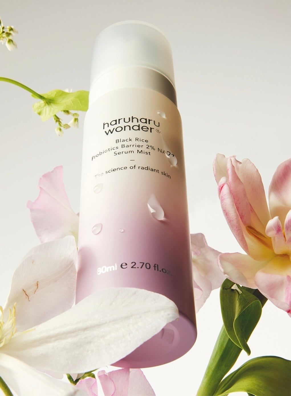Black Rice Probiotics Barrier Essence NAD + Serum